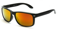 SUNGLASSES:6108 RV